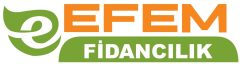 EFEM FİDANCILIK